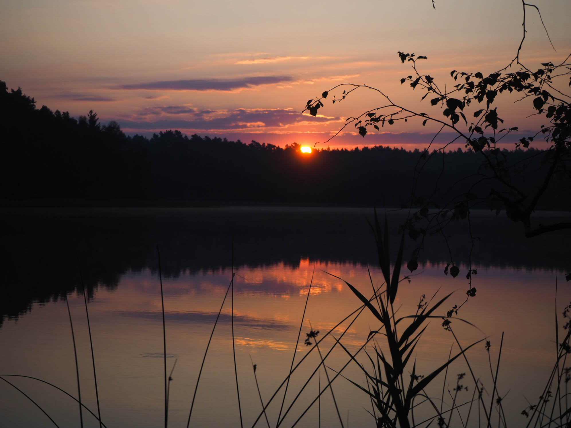 wittwesee-rheinsberg-brandenburg-wandernmithagen-momentaufnahemn.jpg